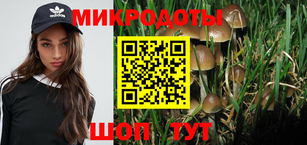 Галлюциногенные грибы Psilocybe Нефтекамск