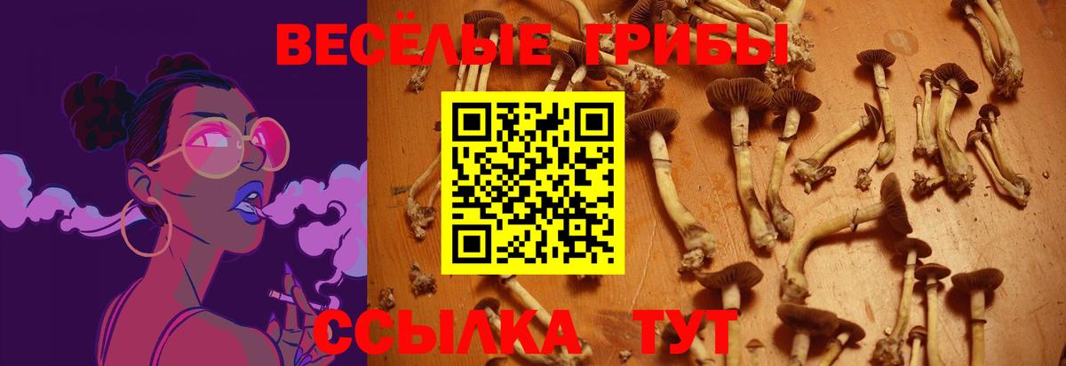 Псилоцибиновые грибы Psilocybine cubensis  Вход с VPN  Нефтекамск  Псилоцибиновые грибы мицелий 